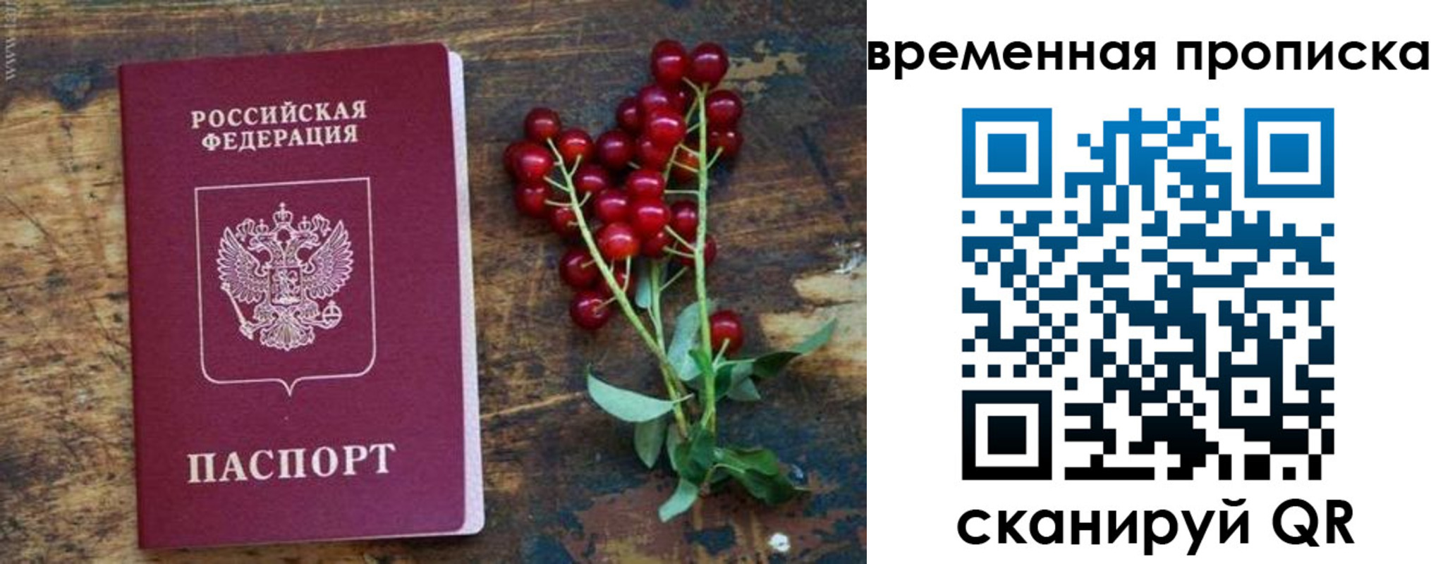 временная регистрация гарантия в Пугачёве